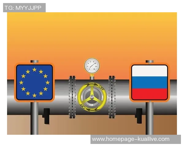 数据分析揭示LNG在全球能源转型中的关键作用与未来发展潜力