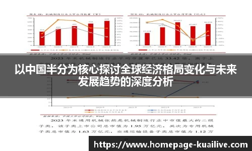 以中国半分为核心探讨全球经济格局变化与未来发展趋势的深度分析